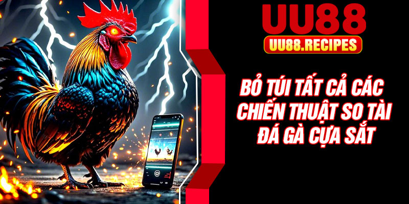 Bỏ túi tất cả các chiến thuật so tài đá gà cựa sắt