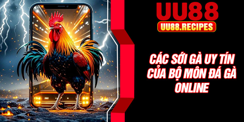 Các sới gà uy tín của bộ môn đá gà online