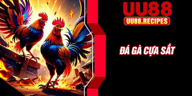 Da Ga Cua Sat