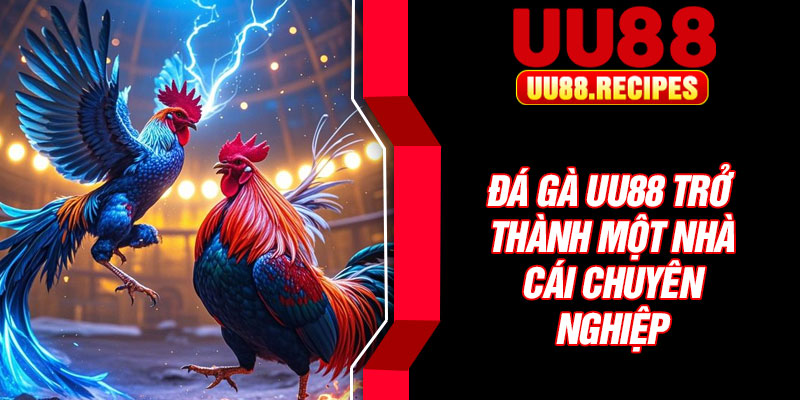 Đá gà UU88 trở thành một nhà cái chuyên nghiệp