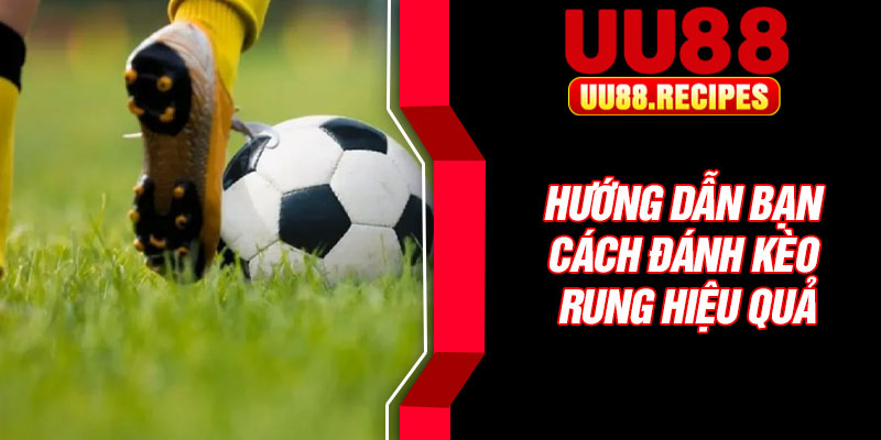 Hướng dẫn bạn cách đánh kèo rung hiệu quả