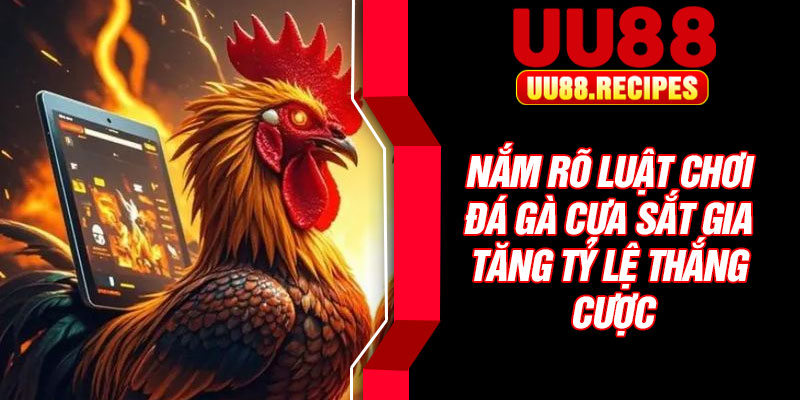 Nắm rõ luật chơi đá gà cựa sắt gia tăng tỷ lệ thắng cược