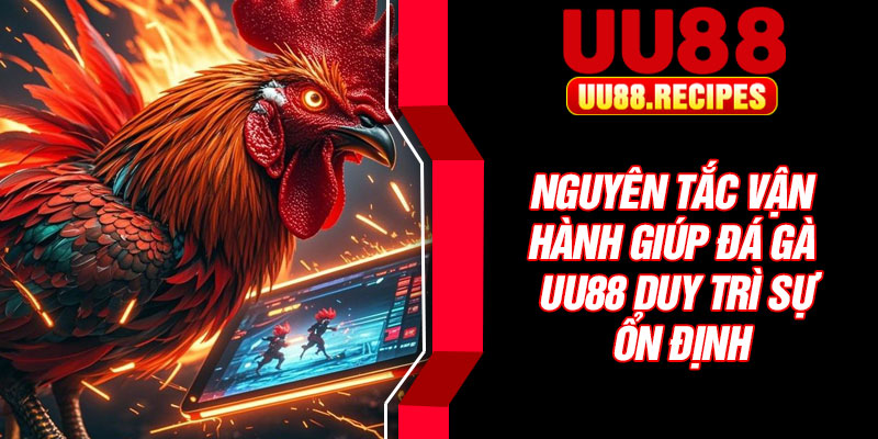 Nguyên tắc vận hành giúp đá gà UU88 duy trì sự ổn định