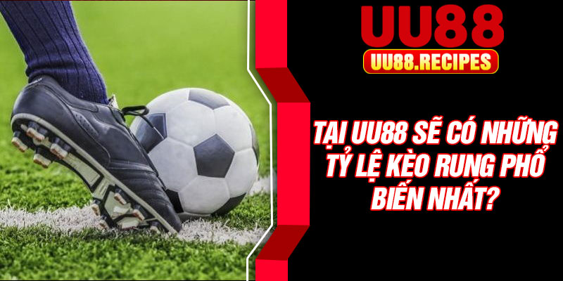 Tại UU88 sẽ có những tỷ lệ kèo rung phổ biến nhất?