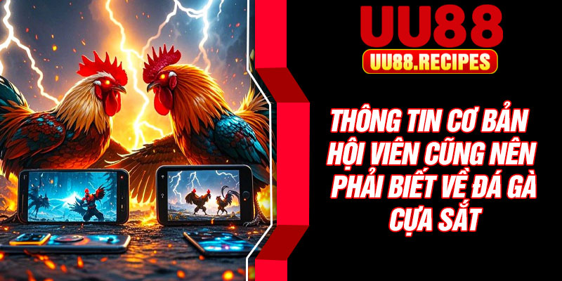 Thông tin cơ bản hội viên cũng nên phải biết về đá gà cựa sắt