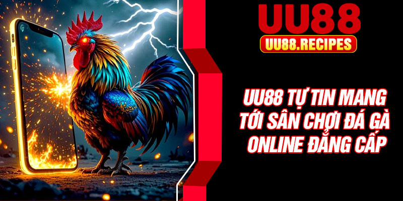 UU88 tự tin mang tới sân chơi đá gà online đẳng cấp